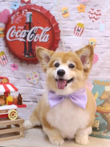 20230923ナナちゃん